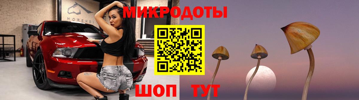 Псилоцибиновые грибы GOLDEN TEACHER Наро-Фоминск